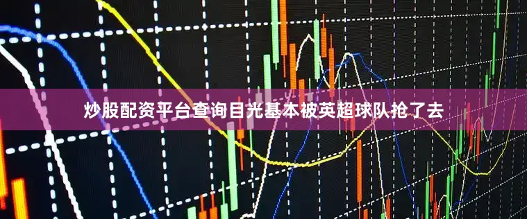 炒股配资平台查询目光基本被英超球队抢了去