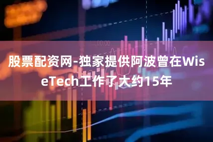 股票配资网-独家提供　　阿波曾在WiseTech工作了大约15年
